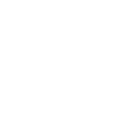 Chrome Software Logo